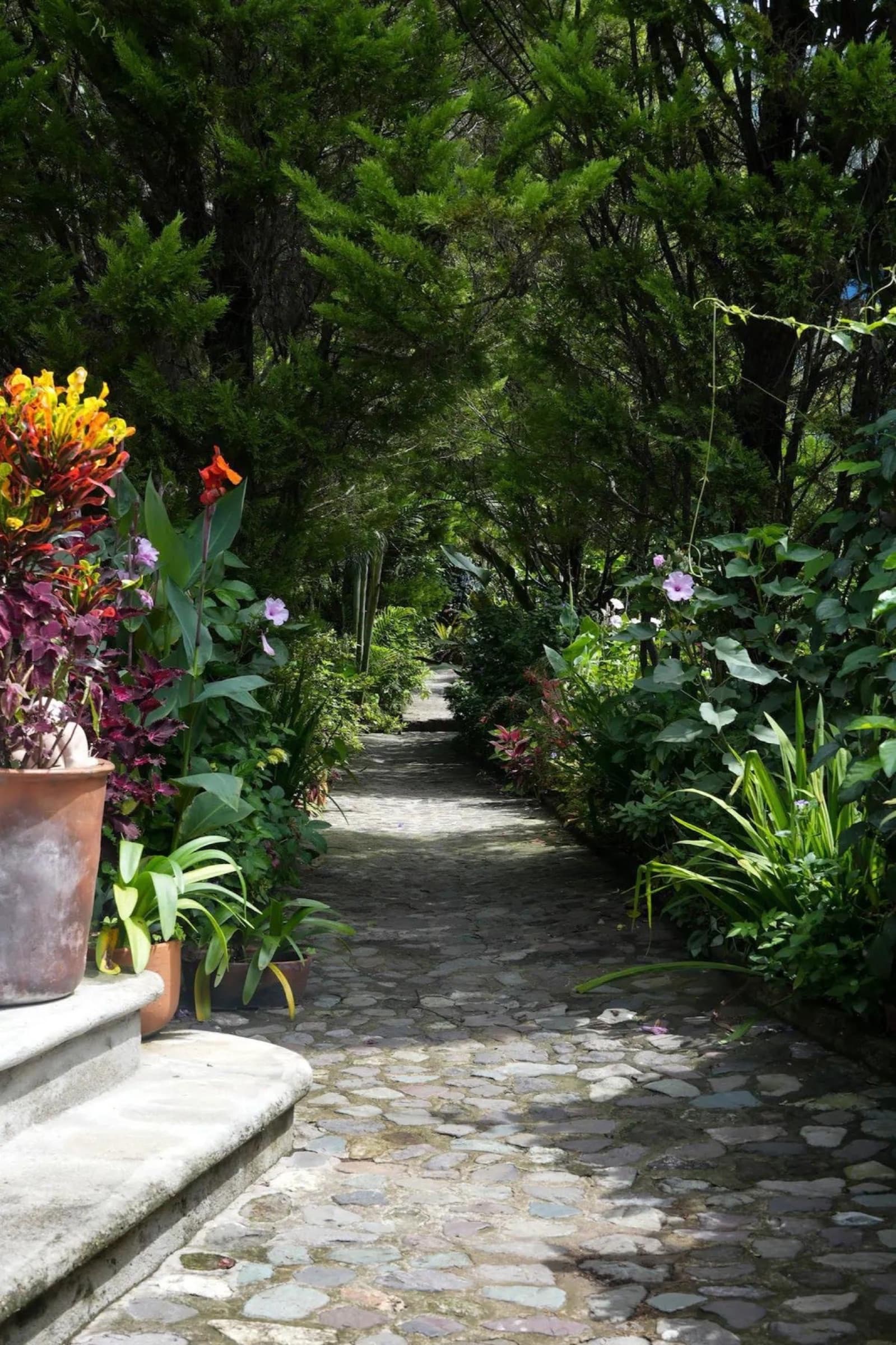 Stone garden path winding through the subtropical gardens