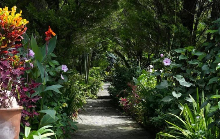 The stone path winding through the subtropical gardens